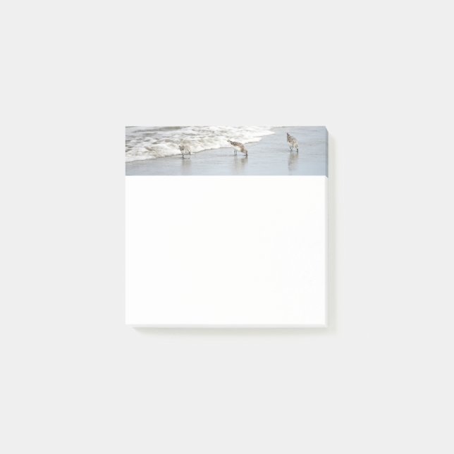 Post-it® Plage Birds in the Surf 3x3 Notes (Devant)