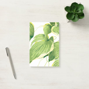 Post-it® Plante de ficus 2
