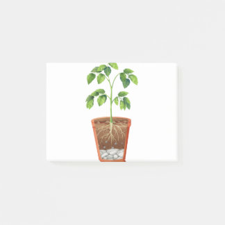Post-it® Plante en pot