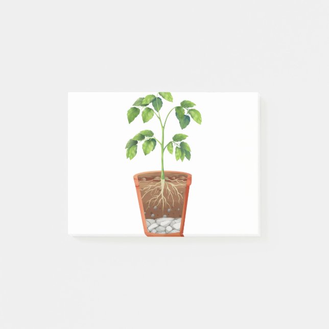 Post-it® Plante en pot (Devant)