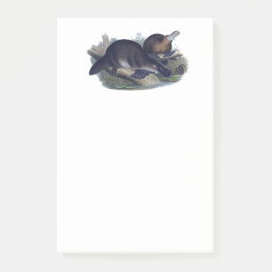 Post-it® Platypus mou sur un animal en rondins