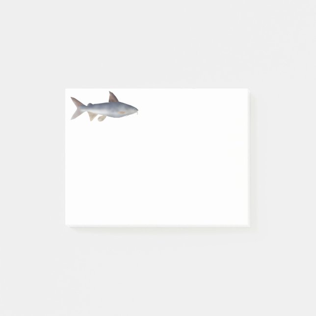 Post-it® Poisson-chat tacheté (Devant)