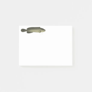 Post-it® Poisson noir de rivière Imprimer, papier d'affiche