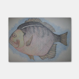 Post-it® Poissons de Sun