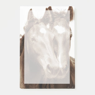 Post-it® Portrait de cheval III