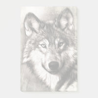 Portrait de loup