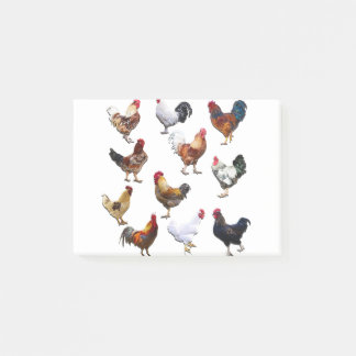 Post-it® Poulet colorié des coqs