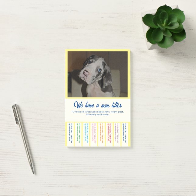 Post-it® Pour vendre Dane Puppies coloré (Bureau)