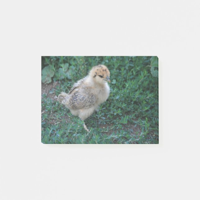 Post-it® Poussin (Devant)