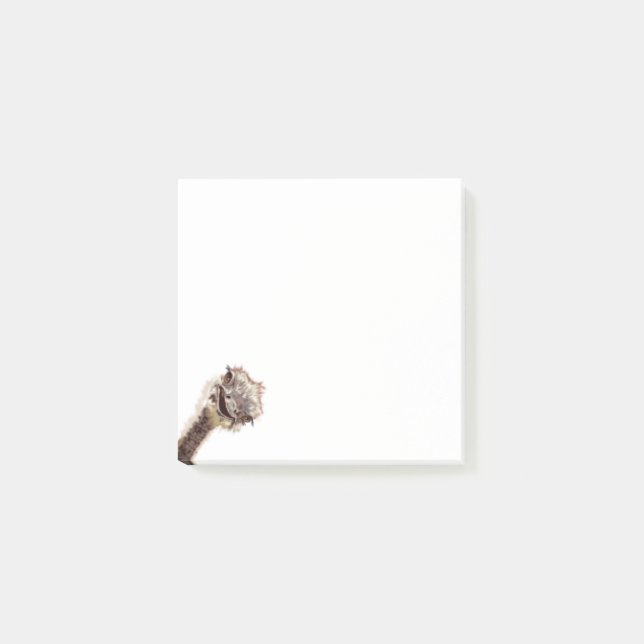 Post-it® Publier Funny Notes avec Happy Jouer l'autruche (Devant)