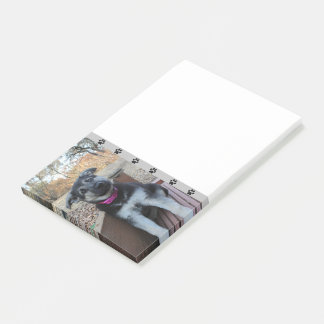 Post-it® Puppy attend sur les Stairs Post-it Notes