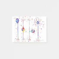 Quatre types de neurones