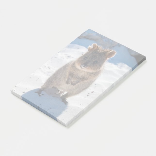 Post-it® Quokka sur la plage en Australie (Incliné)