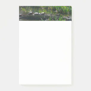Post-it® Rangée de tortues Green Nature Photo