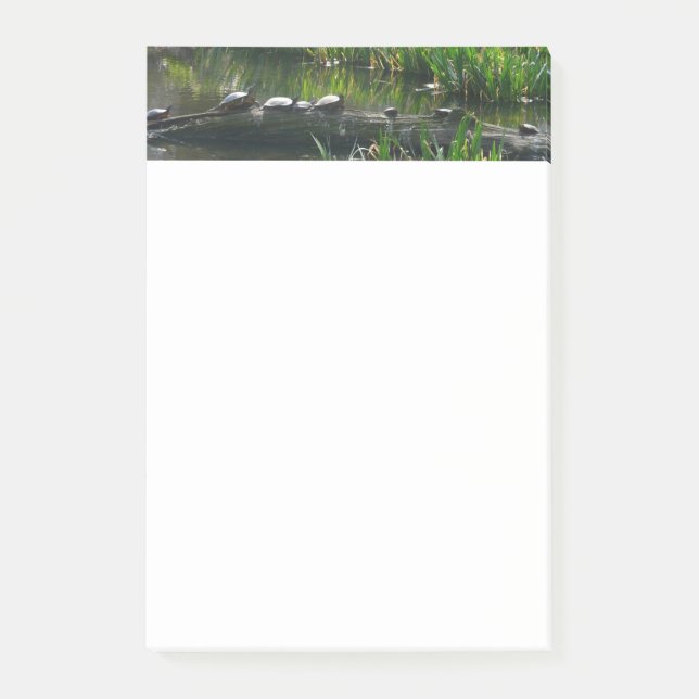 Post-it® Rangée de tortues Green Nature Photo (Devant)