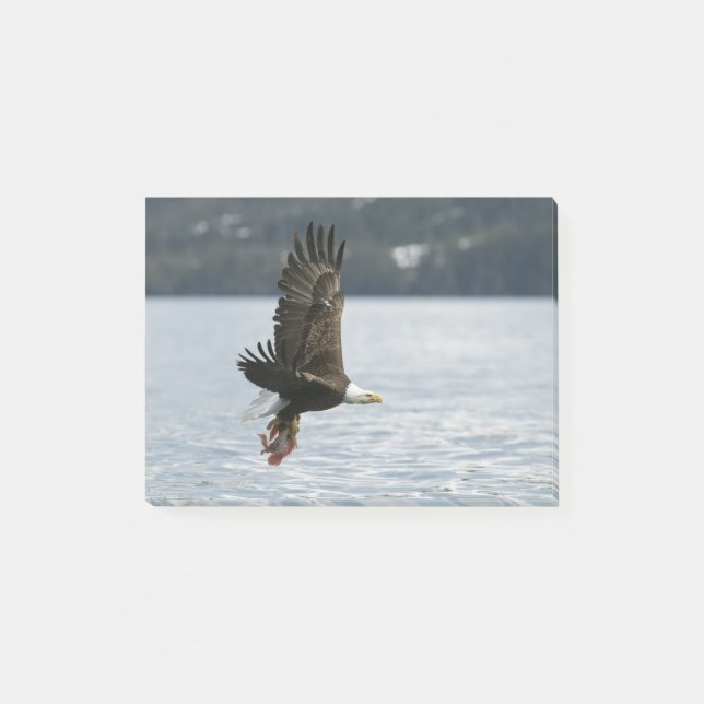 Post-it® Récupération du poisson d'aigle à tête blanche (Devant)