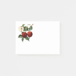 Post-it® Red Apples Botanical Teacher Name 4x3