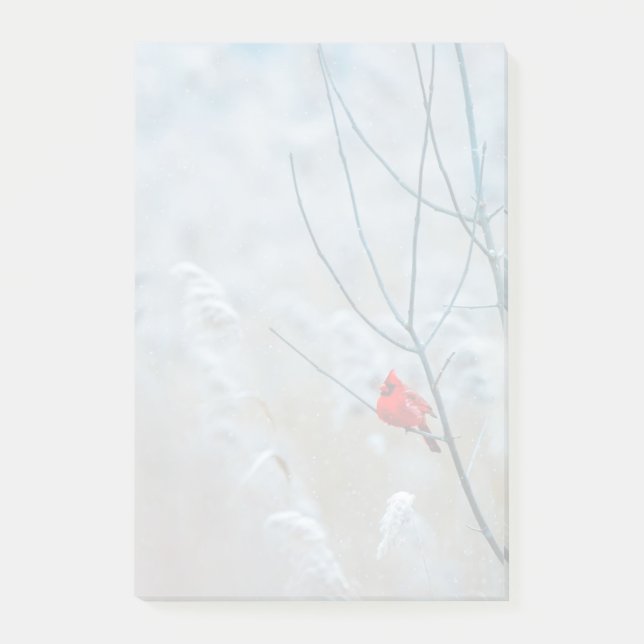 Post-it® Red Cardinal dans Winter Nature Photo de Christmas (Devant)