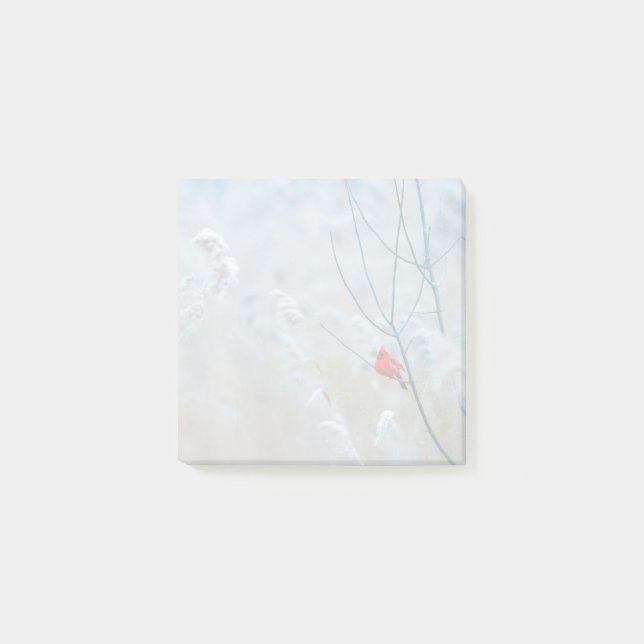 Post-it® Red Cardinal dans Winter Nature Photo de Christmas (Devant)