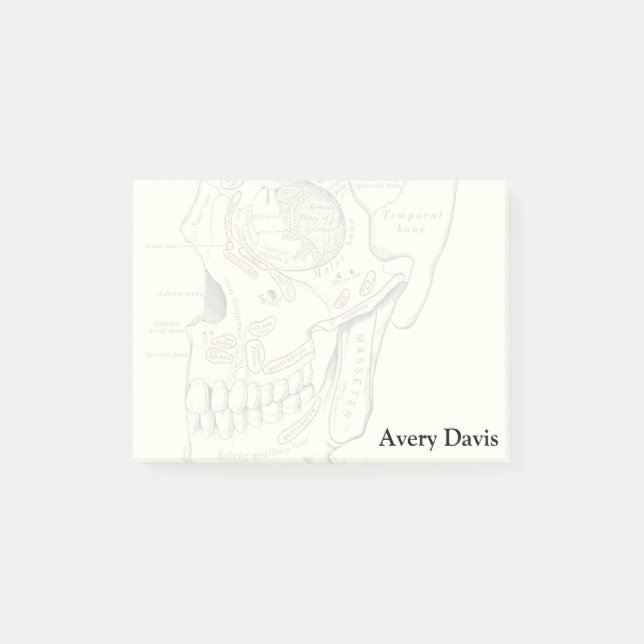 Post-it® Région vintage d'Anterolateral d'anatomie du crâne (Devant)