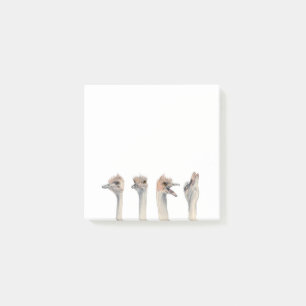 Post-it® Reine drôle de drame de l'aquarelle   d'oiseaux