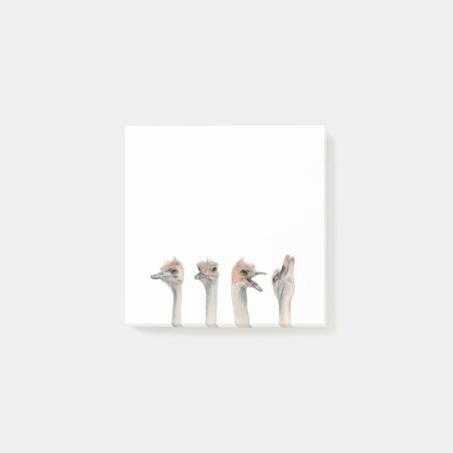 Post-it® Reine drôle de drame de l'aquarelle | d'oiseaux (Devant)