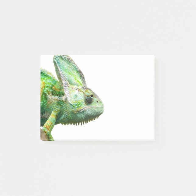 Post-it® Reptile exotique (Devant)