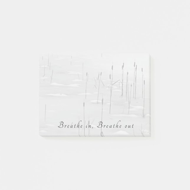 Post-it® Respirez, respirez la scène calme de l'étang d'hiv (Devant)