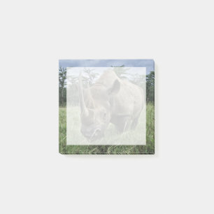 Post-it® Rhinoceros noirs Kenya