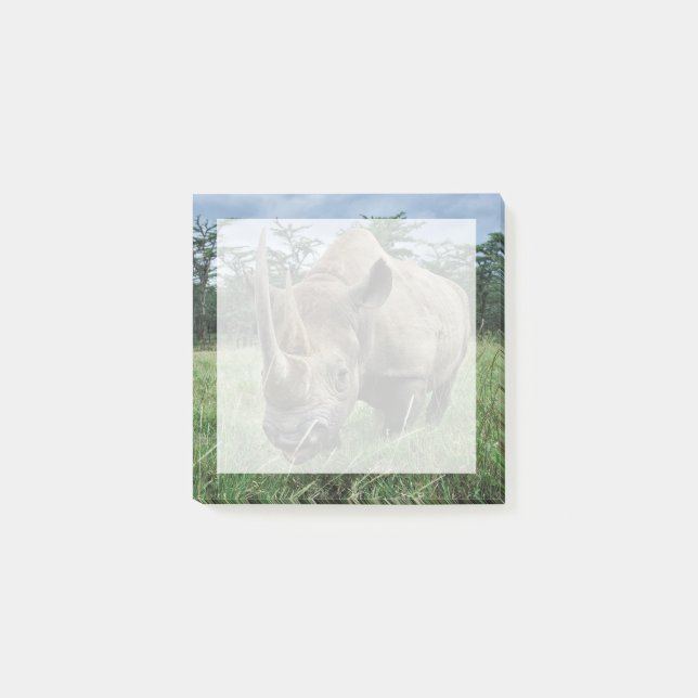 Post-it® Rhinoceros noirs | Kenya (Devant)