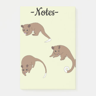 Post-it® Ring Tail Possums