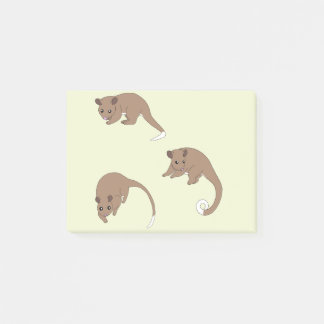 Post-it® Ring Tail Possums