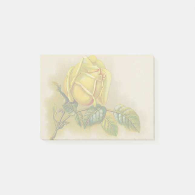 Post-it® Rose jaune Antique Vintage Imprimer Art (Devant)