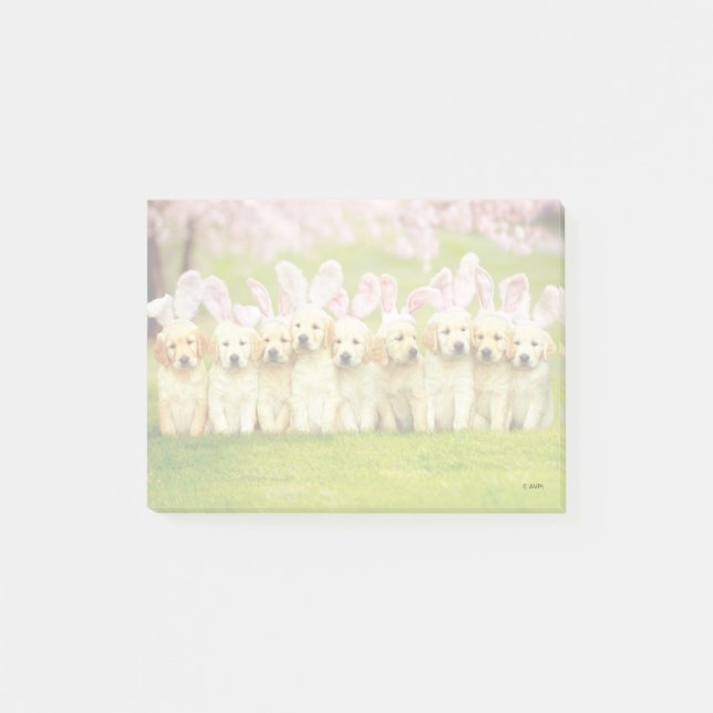 Post-it® Row of Puppy Bunnies (Devant)