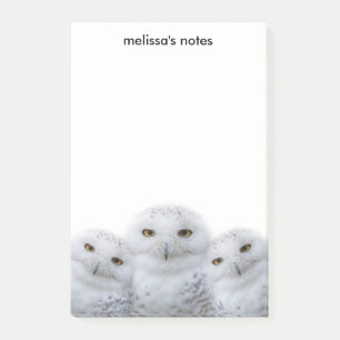 Post-it® Sagesse de rêve de la famille des Chouettes de nei
