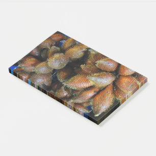 Post-it® Salak [Fruit de serpent]
