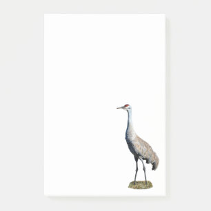 Post-it® Sandhill Crane Photo 4x6 Notes