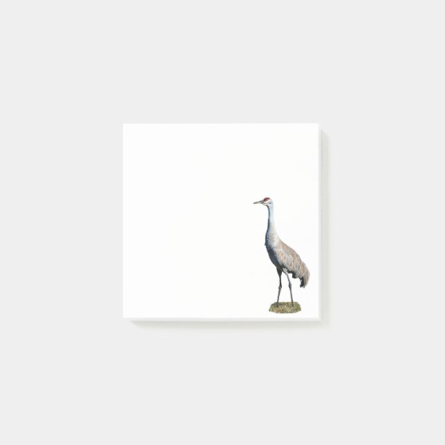 Post-it® Sandhill Crane Photo Post-it Notes (Devant)