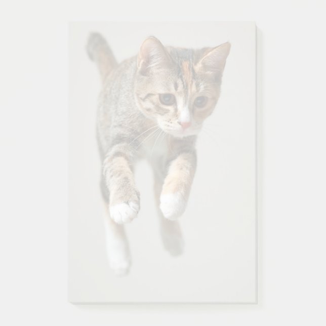 Post-it® Sauter de chat de calicot (Devant)