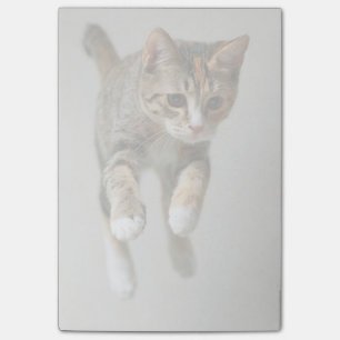 Post-it® Sauter de chat de calicot