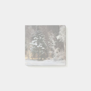 Post-it® Scène de nuit forestière hivernale cosy