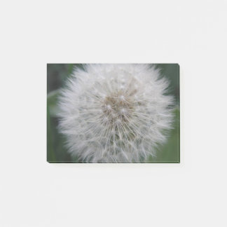 Post-it® Semer Dandelion Flower Post il note Pad