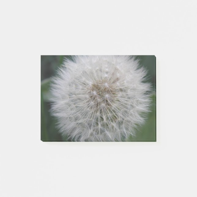 Post-it® Semer Dandelion Flower Post il note Pad (Devant)