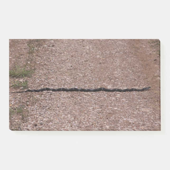 Post-it® Serpent de Rat (Devant)