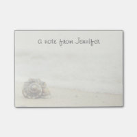 Seul coquillage sur la plage