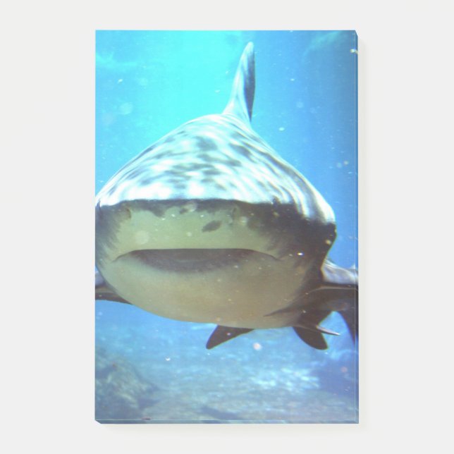 Post-it® shark-5.jpg (Devant)