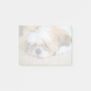 Post-it® Shih Tzu