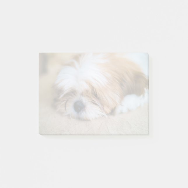 Post-it® Shih Tzu (Devant)