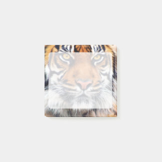 Post-it® Sibérie des hommes photographiés sur le tigre