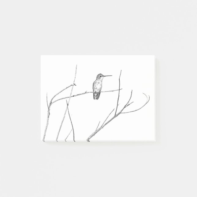 Post-it® Simplement un colibri sur un bâton (Devant)